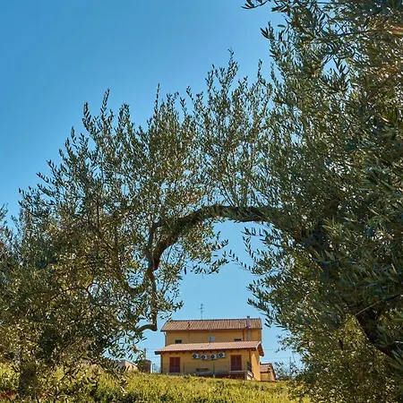 La Casa Del Vino - Tollo