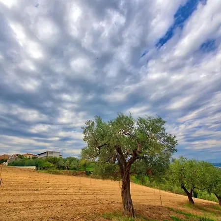 Bed & Breakfast La Casa Del Vino -