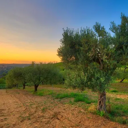 Bed & Breakfast La Casa Del Vino - *