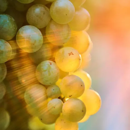 La Casa Del Vino - 3*