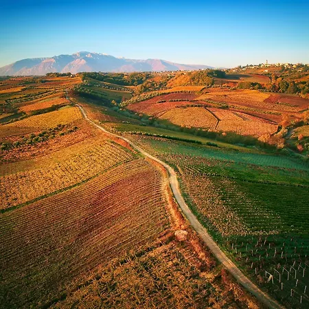 La Casa Del Vino - Bed & Breakfast Tollo