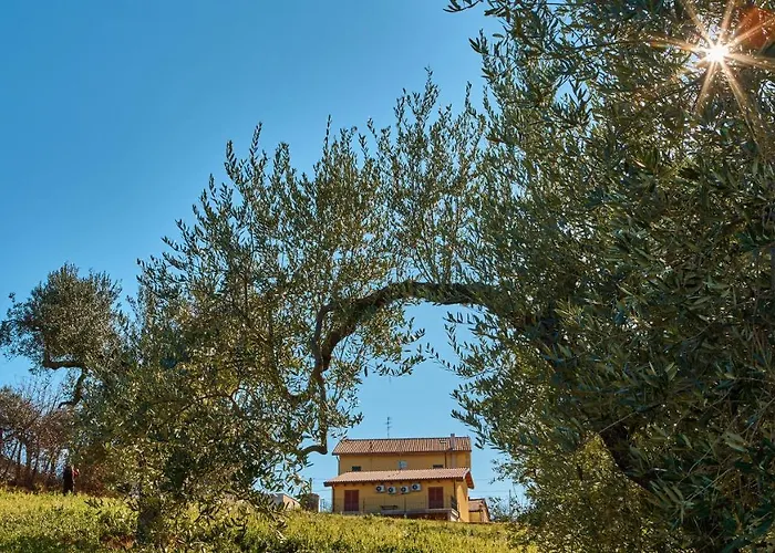 La Casa Del Vino - Tollo