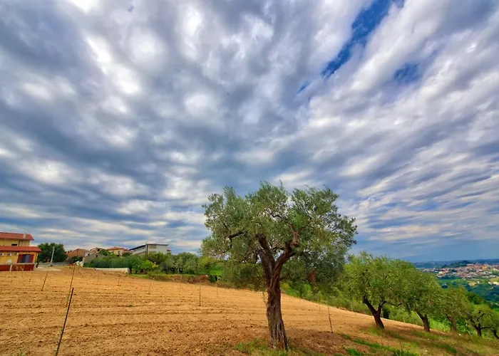 לינה וארוחת בוקר La Casa Del Vino -