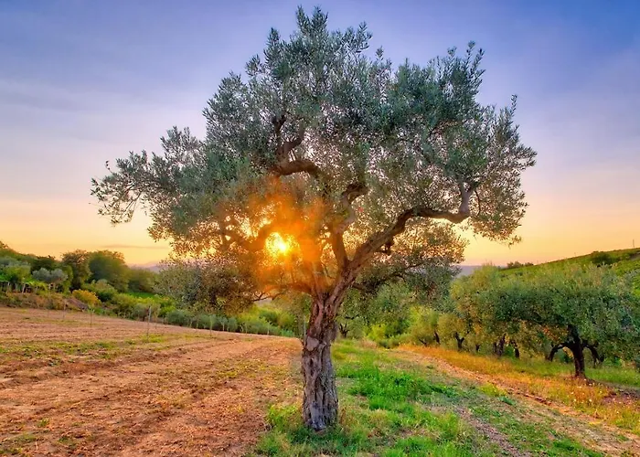 La Casa Del Vino - לינה וארוחת בוקר Tollo