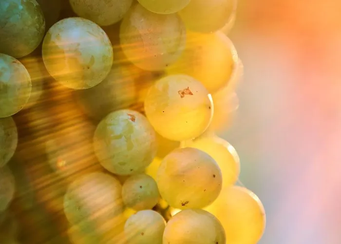 La Casa Del Vino - 3*